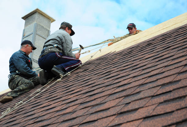 Best Roof Leak Repair  in Des Plaines, IL